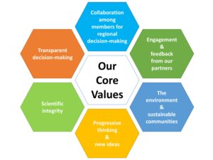 Hccc Values Graphic Hex