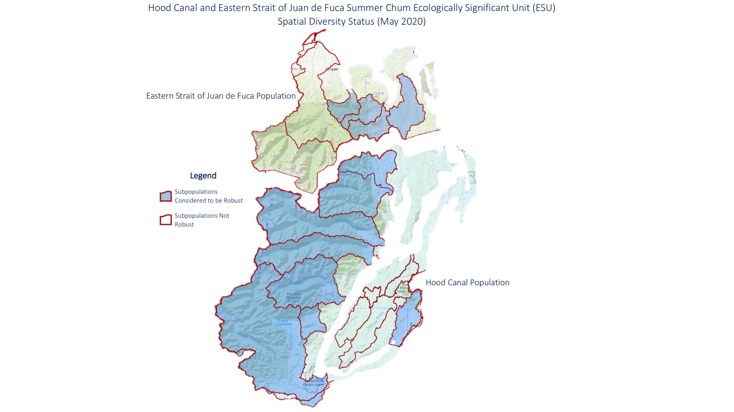 Schum Diversity Map 2020