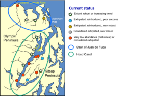 Summer Chum Spatial Diversity Map