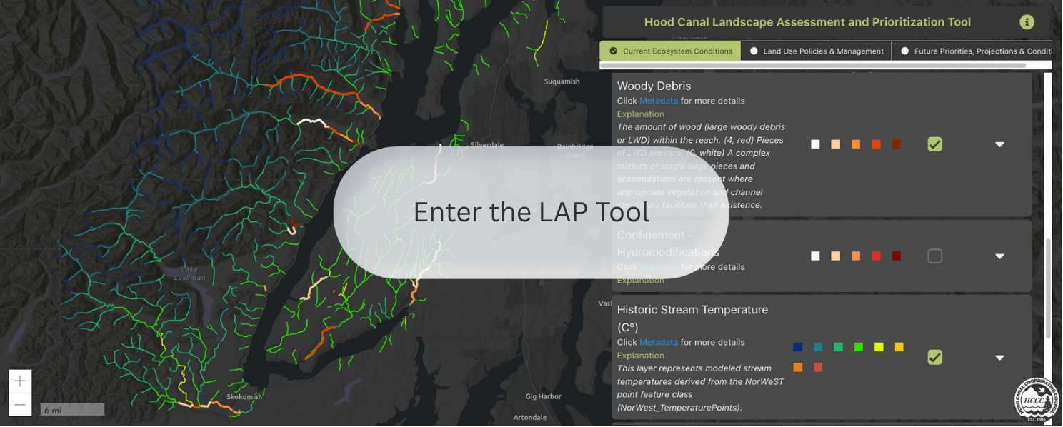 Enter The Lapt Graphic