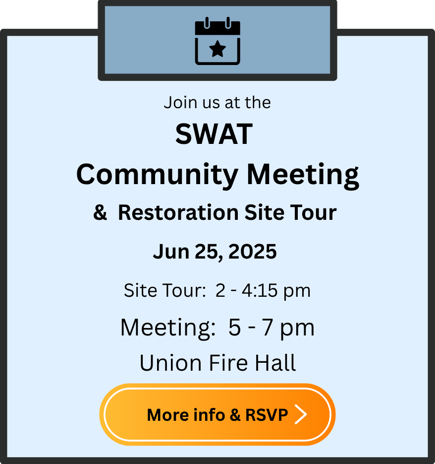 Swat Gm Graphic 20250625